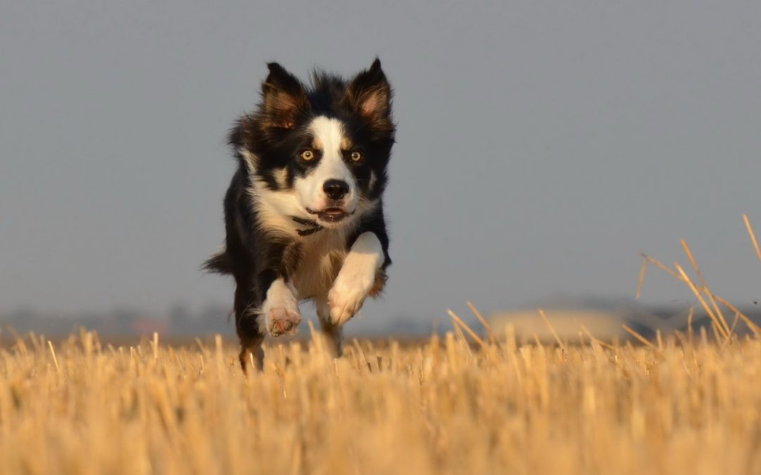 New Posts Coming Soon!