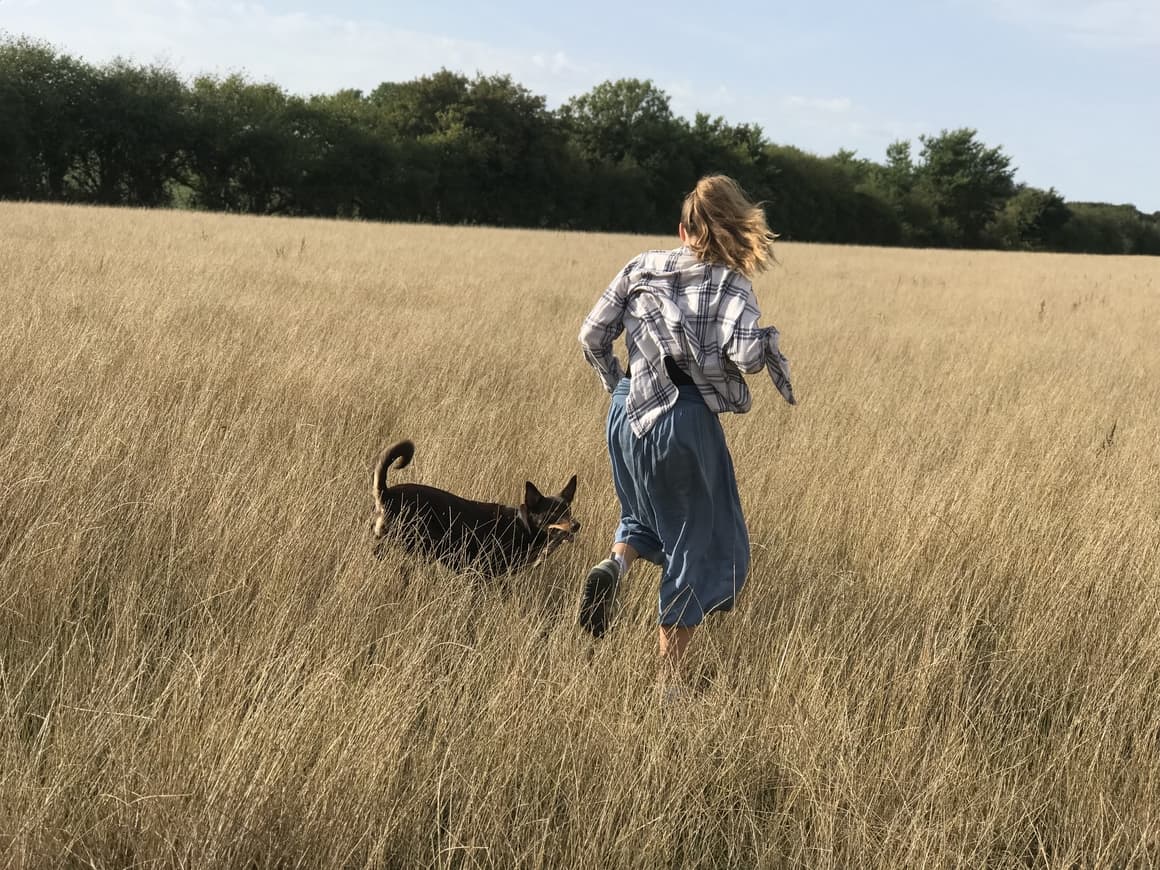 5 simple dog training techniques for NZ dog owners