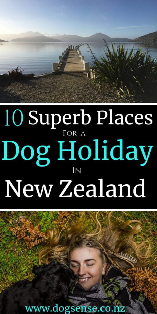 Best Dog Holiday Accomodation In New Zealand