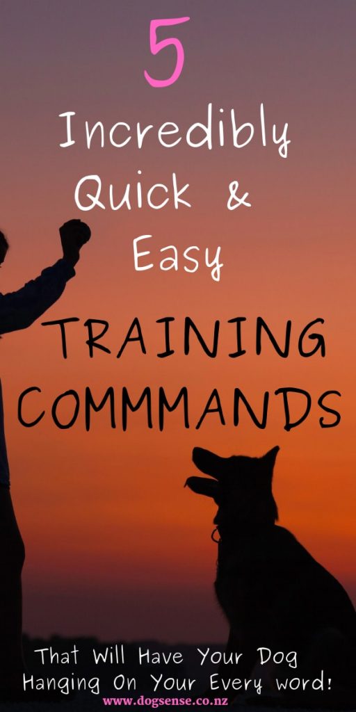 dog training commands