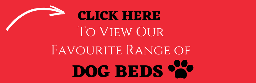 A call to action button.Dog beds and why your dog needs one in New Zealand