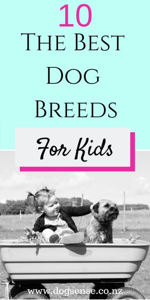 best dog breeds for kids