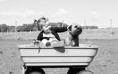 10 Dog Breeds That are Perfect For Kids