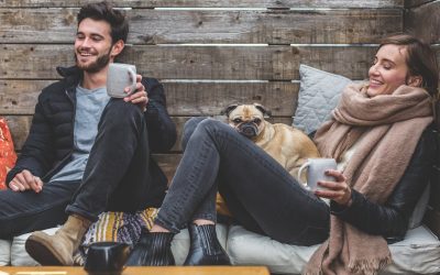 3 Of The Best Dog Friendly Cafes in Auckland