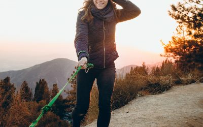 Dog Walking. 8 Beneficial Reasons To Have You Reaching For The Lead