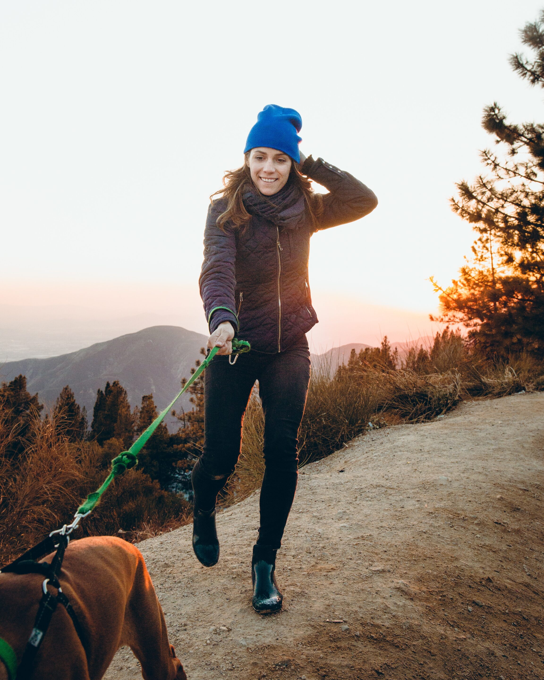 Dog Walking 8 Beneficial Reasons To Have You Reaching For The Lead dog-walking-8-beneficial-reasons-to-have-you-reaching-for-the-lead