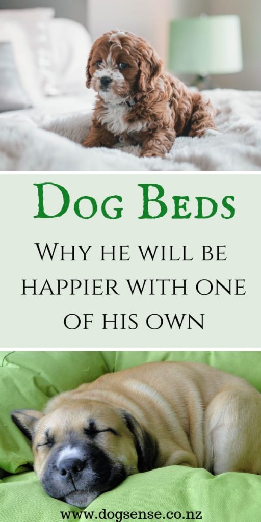 Dog Beds. Why your dog will be happier with his own bed