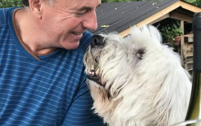 Dog Sitting. The Perfect Solution For Dogs Who Love Staying Home