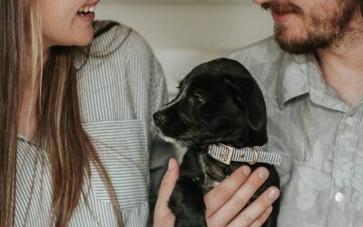 How to Socialise Your Puppy (so that she hardly notices!)