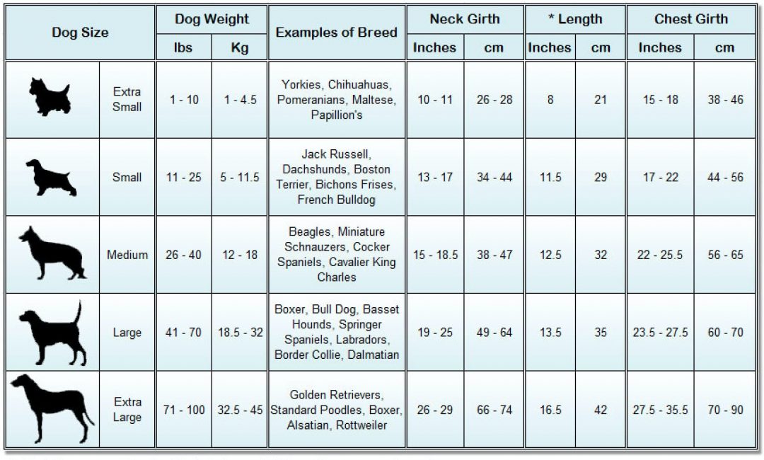Xxlarge Dog Crate Dimensions At Megan Watson Blog