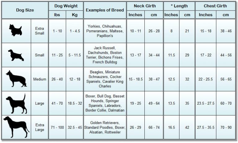 Great Crate Dog Crates By Precision Pets Small Dog Sense New Zealand