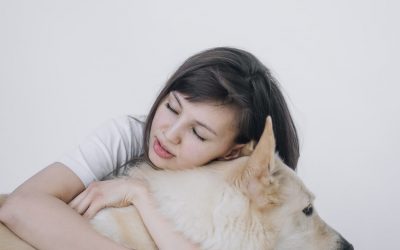 Fit Bark 2. The Perfect Solution To Keeping Your Dog Healthy