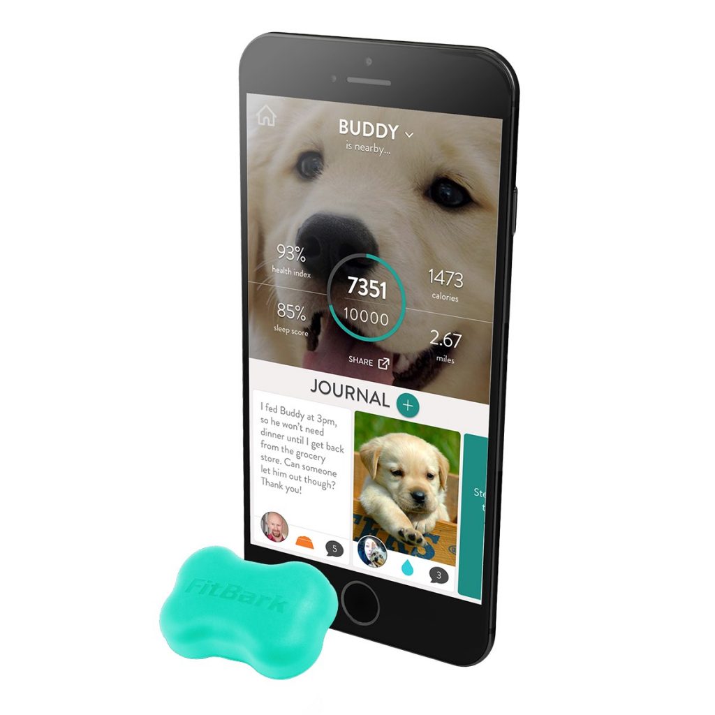 Fitbark 2 dog care sends information about your dogs activity straight to your smart phone or table