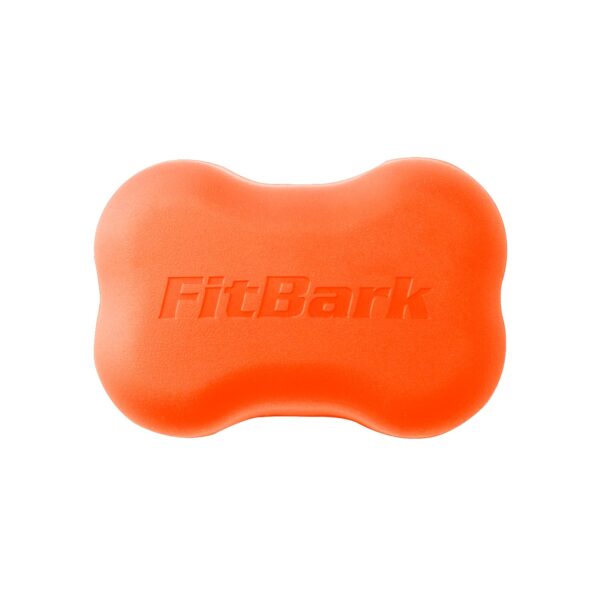 FitBark 2 Orange