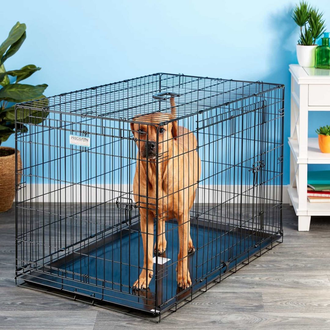 Great Crate Dog Crates by Precision Pets Medium to XXLarge Dog Sense New Zealand