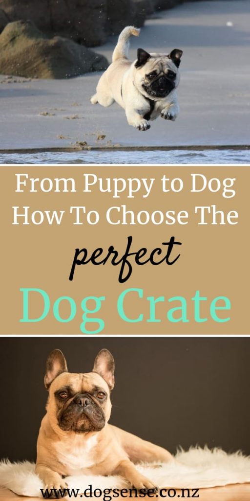 dog crates. How to choose the perfect ones for your puppy or older dog