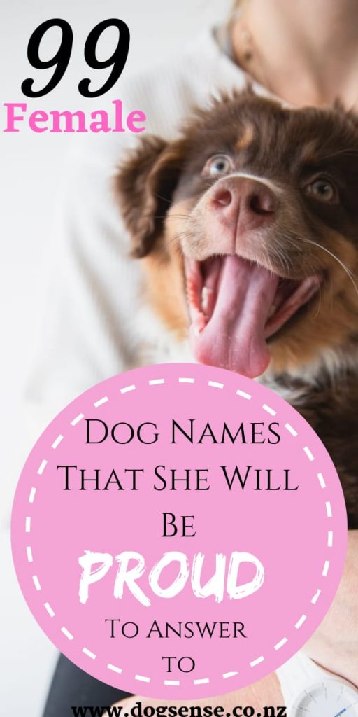 100 Unique Cute Female Dog Names Meanings Dog Sense Nz