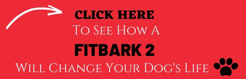 Fit bark 2 call to action button