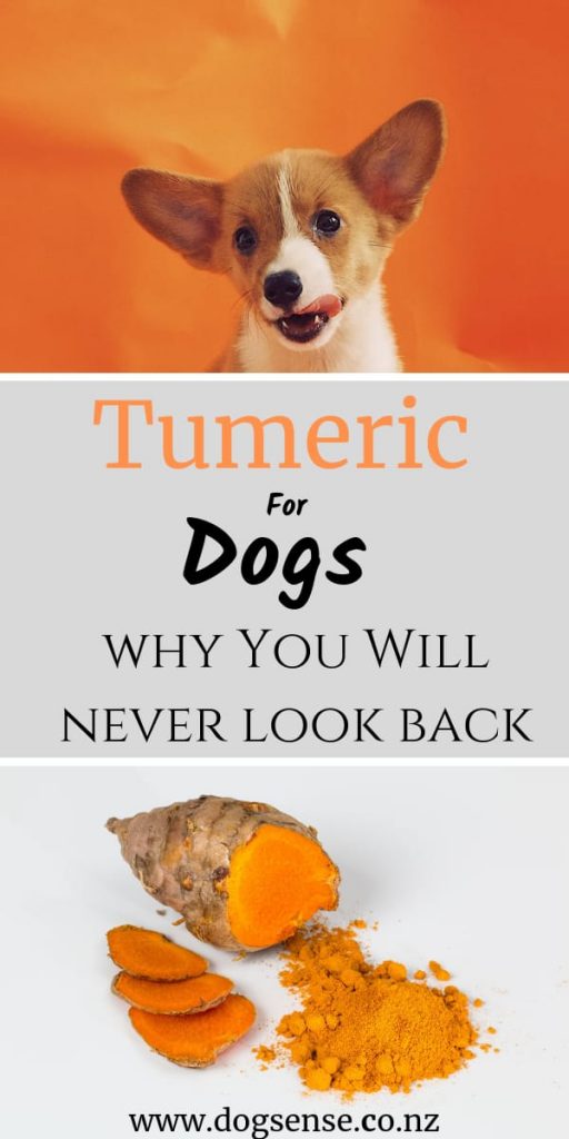 tumeric for dogs