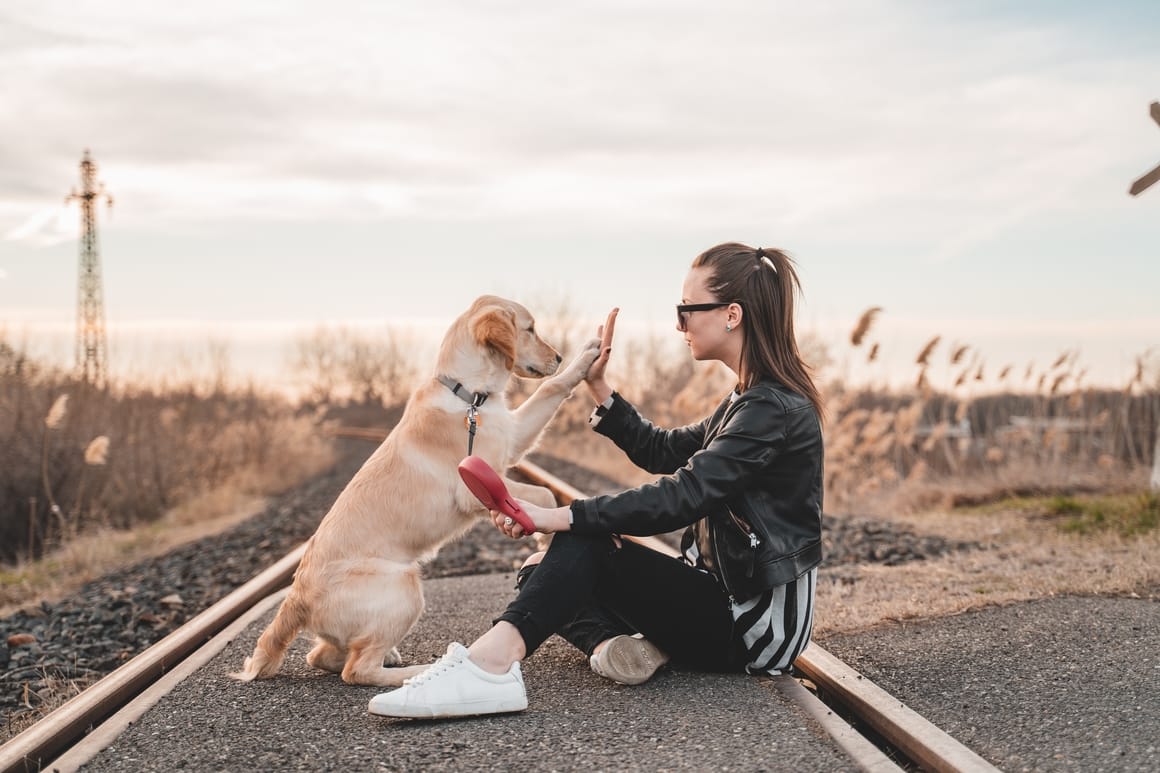 woman high fiveing her dog