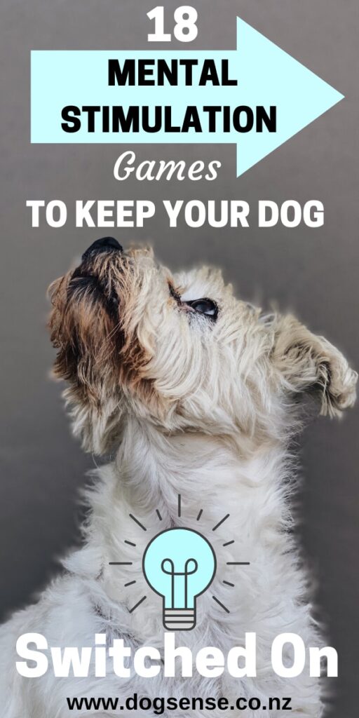 Brain Games For Dogs: How To Keep Your Pup Mentally Stimulated