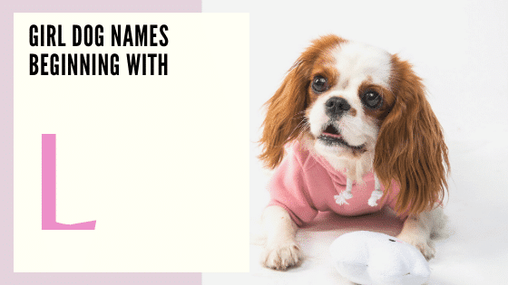 Girl Dog Names Beginning With L